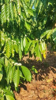 Đất nền 2160m² tại Thị trấn Kiến Đức giá 1.9 tỷ - Đầu tư sinh lời tốt!