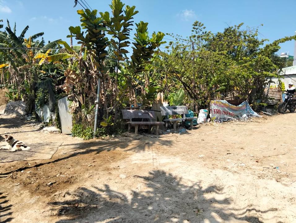 Đất nền Phường Hòa Minh, Quận Liên Chiểu, 200m² giá 900 triệu - Đường ô tô vào tận nơi!