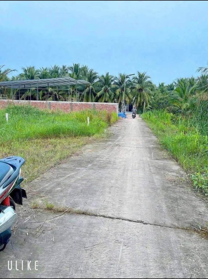 Đất nền An Thạnh, Mỏ Cày Nam, Bến Tre 508m² giá 670 triệu - Đường ô tô vào tận nơi!