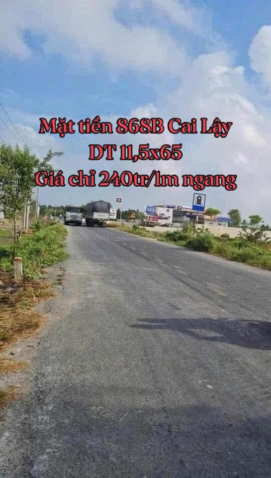 Đất nền mặt tiền Lộ 868b, Phường Nhị Mỹ, 747m² giá 2.76 tỷ - Cơ hội đầu tư tuyệt vời!