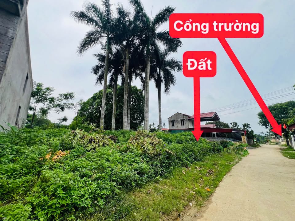 Đất Lương Sơn Hòa Bình 106m² giá 1 tỷ - Lô góc 2 mặt tiền kinh doanh tốt!