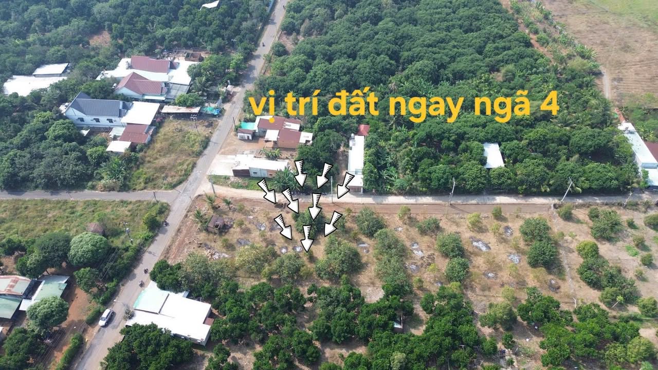 Đất nền Bình Lộc, Long Khánh 150m² giá 1.19 tỷ - Vị trí đắc địa, tiềm năng phát triển!