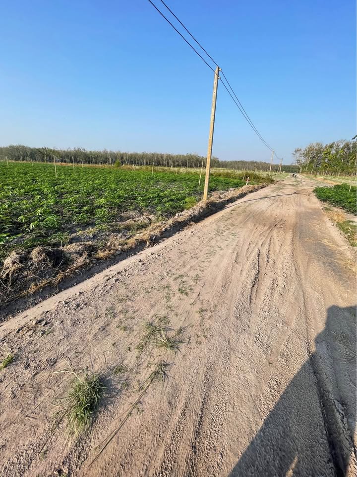 Đất nền Tân Phú, Tân Châu 10108m² giá thỏa thuận - Đầu tư sinh lời ngay!