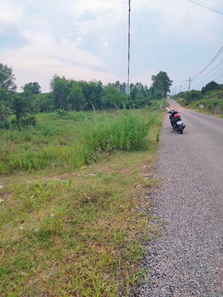 Đất mặt tiền nhựa thôn 2, Hàm Liêm, Bình Thuận - 1,6 héc giá chỉ 2.88 tỷ