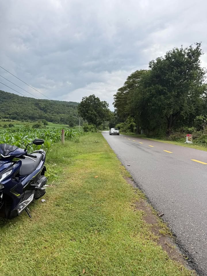 Đất nền mặt tiền Quốc lộ 28, Xã Thuận Hòa, 10.000m² - Cơ hội đầu tư tuyệt vời!