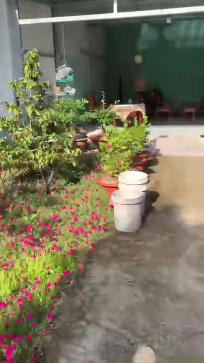 Nhà bán tại Ấp Bình Cang 2, Thủ Thừa, Long An 168m² - Giá chỉ 850 triệu!