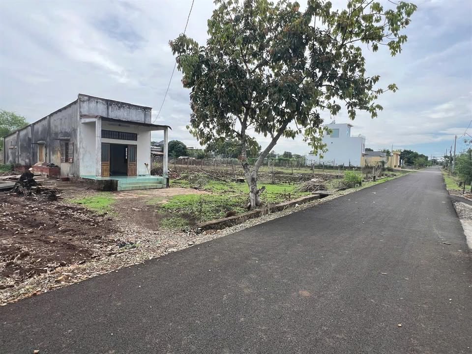 Đất thổ cư 460m² đường 17, Ngã Giao, giá 2.3 tỷ - Cơ hội đầu tư tuyệt vời!