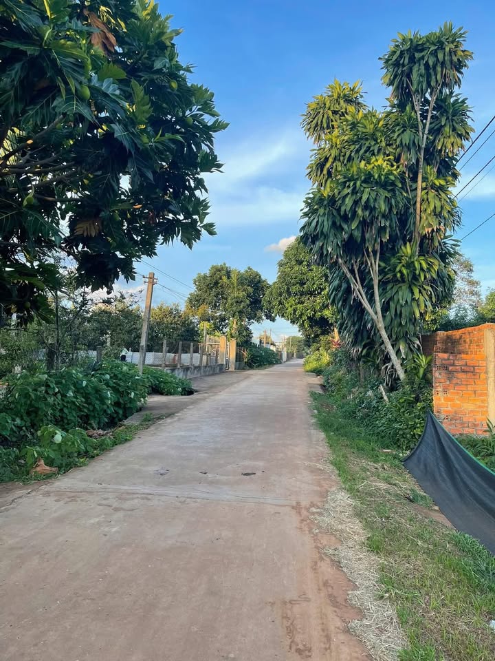 Đất thổ cư 500m² tại Đạt Hiếu, Buôn Hồ giá 1.849 tỷ - Chính chủ bán gấp!