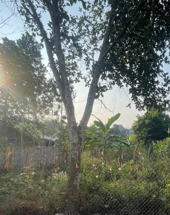 Đất nền An Tường, Tuyên Quang 50m² giá 1.18 tỷ - Pháp lý rõ ràng, đầu tư sinh lời!