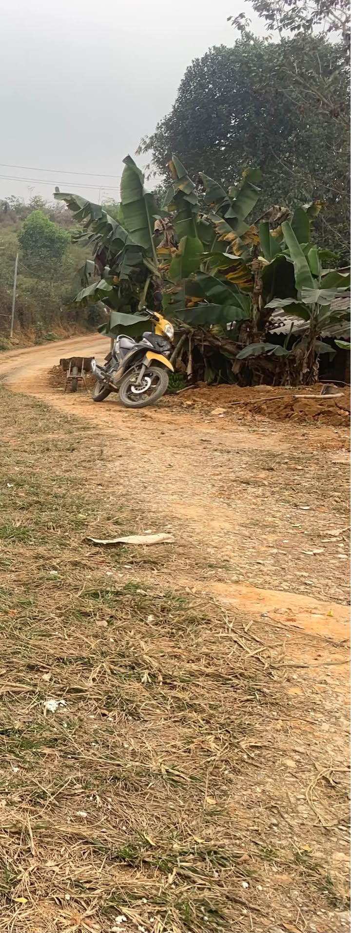 Đất thổ cư Tổ 12 An Tường 50m² giá 850 triệu - Pháp lý rõ ràng, thương lượng trực tiếp!