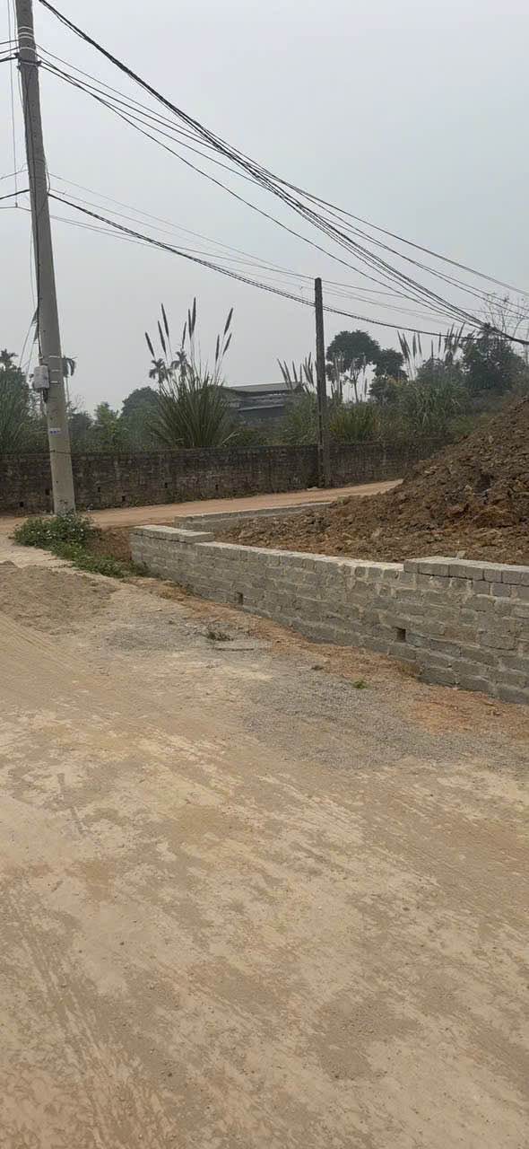 Đất nền mặt tiền 5x20m tại Phường Mỏ Chè, 1.4 tỷ - Đầu tư sinh lời ngay!