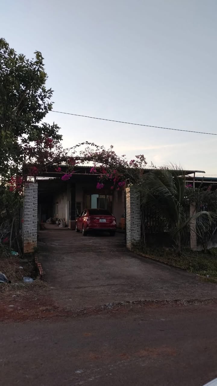 Nhà phố tại Thị trấn Kiến Đức 315m² giá 1.2 tỷ - Sổ hồng công chứng ngay!