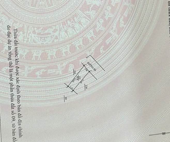 Nhà phố Yên Vĩnh, Hoài Đức 40m² giá 8 tỷ - Ô tô đỗ cửa, vào nhà ngay!