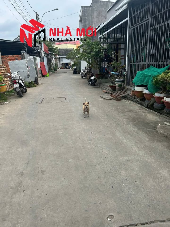 Nhà 1 trệt 1 lửng tại phường 1 Cà Mau 67m² giá 1.45 tỷ - Vị trí đẹp gần công viên