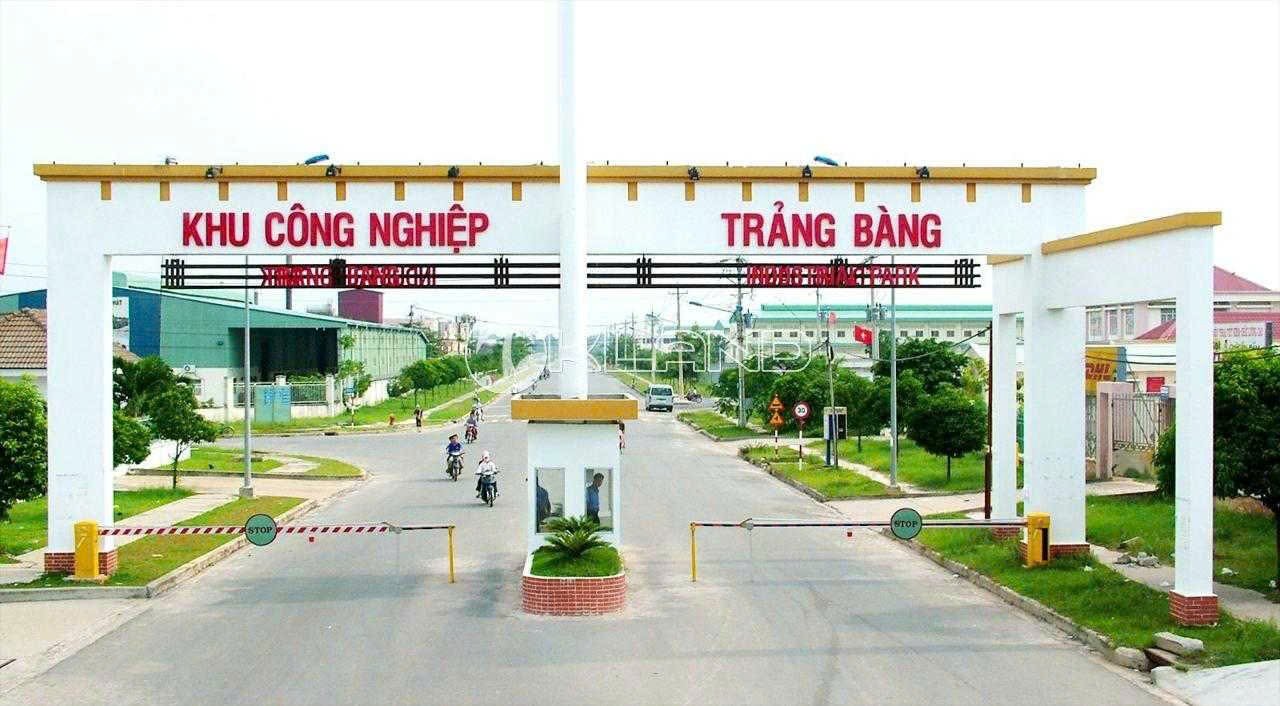 Đất mặt tiền nhựa Trảng Bàng 136m² giá 650 triệu - Cơ hội đầu tư hấp dẫn!