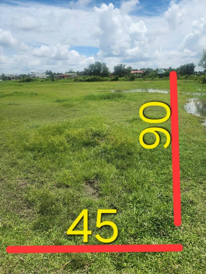 Đất lúa 4050m² tại xã Mỹ Hạnh, Tây Ninh - Cơ hội đầu tư hấp dẫn!