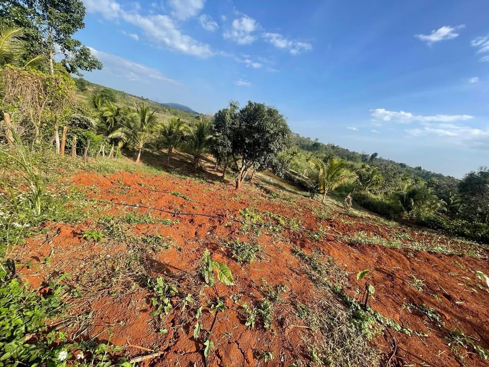 Đất nền 720m² tại Phan Bội Châu, Quảng Phú - Giá chỉ 600 triệu, cơ hội đầu tư hấp dẫn!