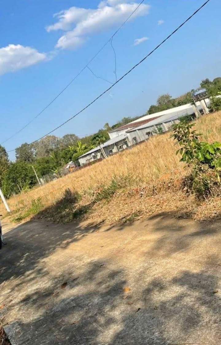 Đất nền liền kề 200m² giá 100 triệu - Gần mặt tiền đường bê tông!