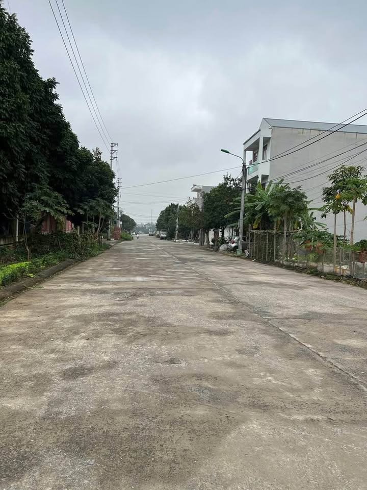 Đất nền tại Ngõ Lương Văn Tụy, Phường Đồng Nhân, 102m² - Đầu tư sinh lời!