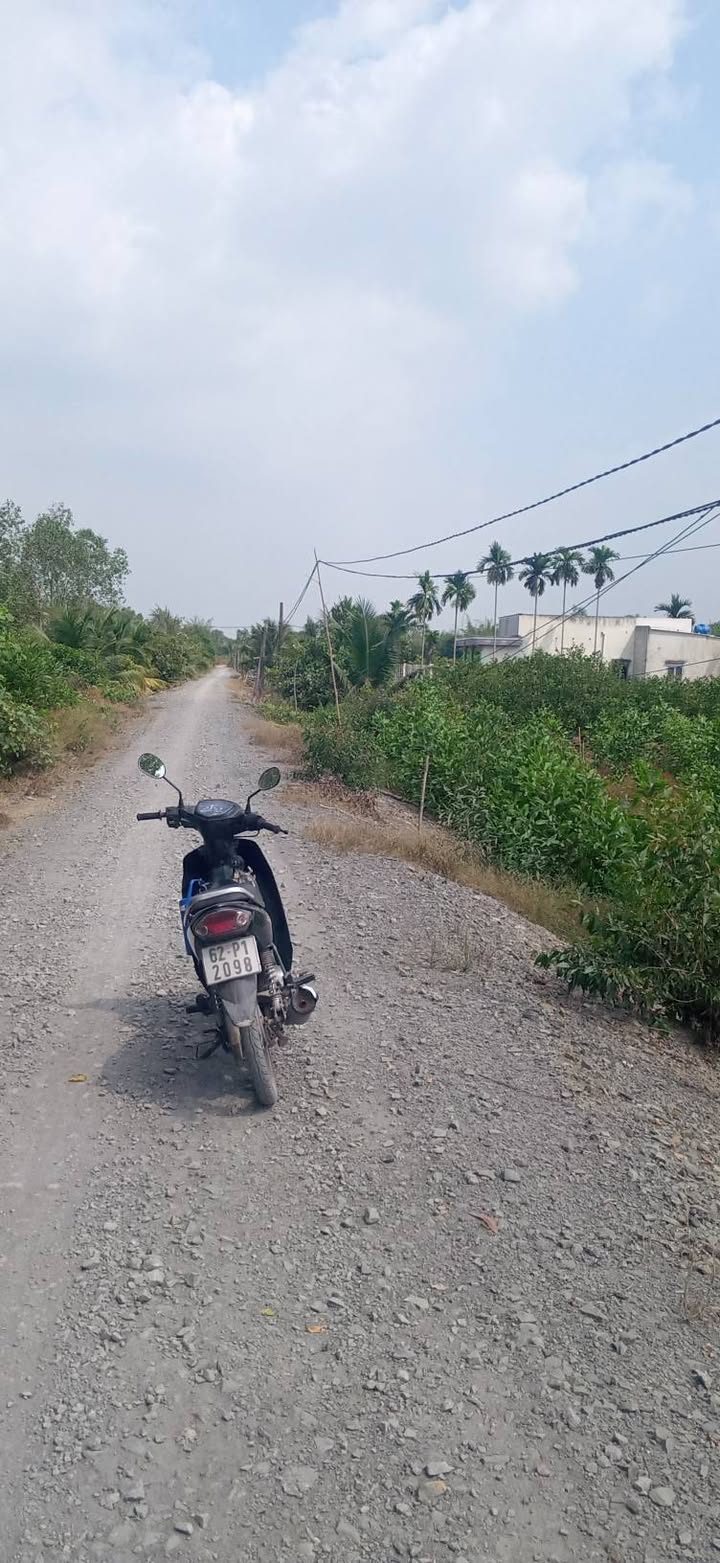 Đất vườn mặt tiền đường xe tải Thạnh Hòa, 540m² giá 1 tỷ - Sổ hồng chính chủ!