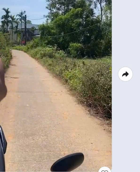 Đất thổ cư 300m² tại Trần Quang Diệu, Mộ Đức, giá 495 triệu - Cơ hội đầu tư tuyệt vời!