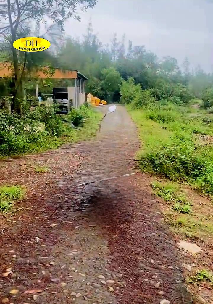 Đất biển Triệu Cơ, Quảng Trị 115m² - Gần biển chỉ 400m!