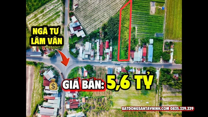 Đất nền 5000m² tại Tân Phú, Tây Ninh - Sổ hồng chính chủ, giá 5.6 tỷ thương lượng