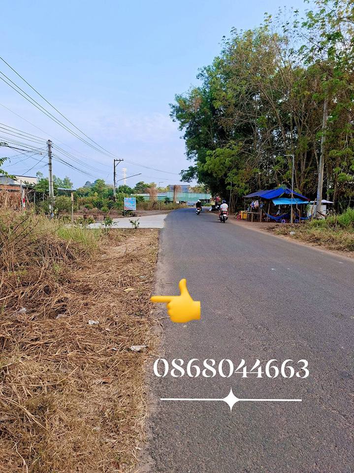 Đất 2 mặt tiền nhựa tại An Thái - Phú Giáo 500m² giá 1.5 tỷ - Đầu tư sinh lời tuyệt vời!