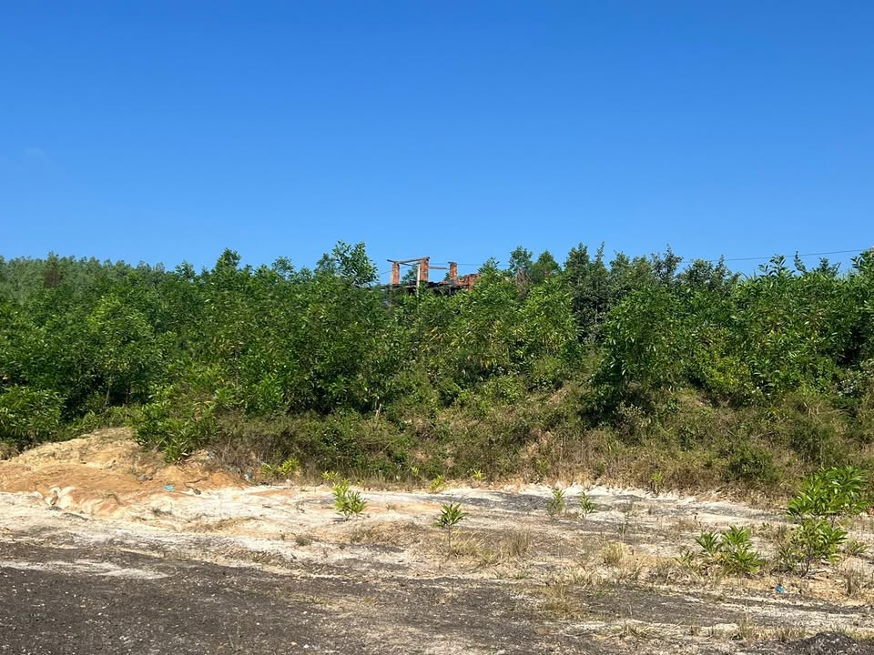 Đất làm nhà Yến 25.000m² xã An Thọ - Giá chỉ 1 tỷ VND - Cơ hội hiếm có!