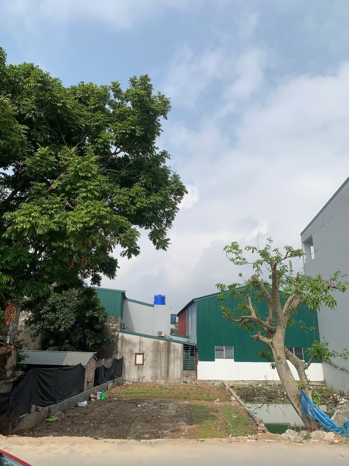 Đất thổ cư Vĩnh Hưng 82m² giá thỏa thuận - Đầu tư sinh lời tiềm năng!