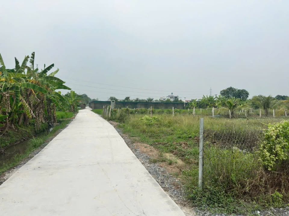 Đất vườn mặt tiền đường Hoàng Phan Thái, 1000m² giá 3.5 tỷ - Đầu tư sinh lời ngay!