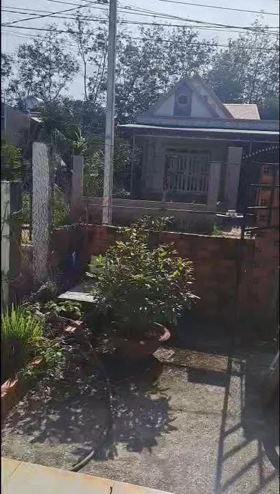 Nhà cấp 4 cho thuê tại Đường số 42, Phường Minh Hưng - Giá chỉ 2.5 triệu/tháng!