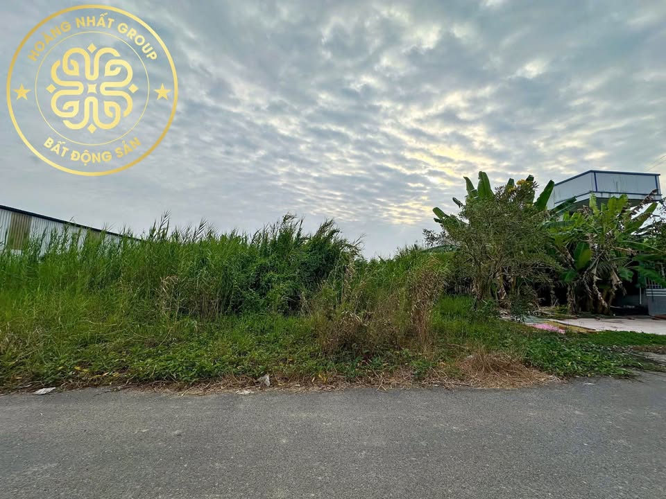 Đất nền Khu đô thị Hoàng Tâm Cà Mau 150m² giá 1.01 tỷ - Đầu tư sinh lời ổn định!