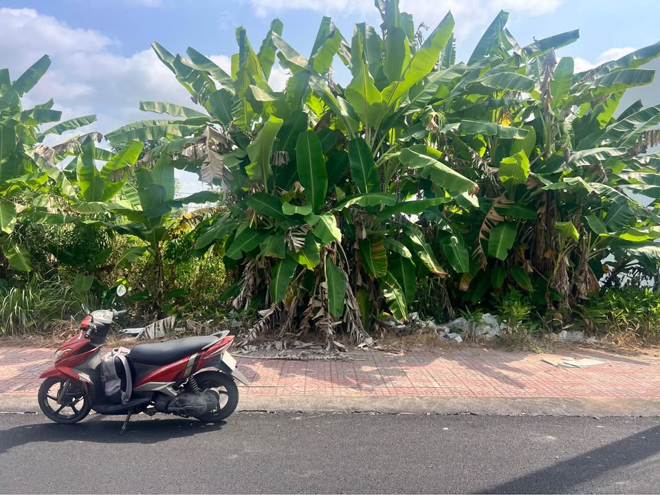 Đất nền KDC Licogi Cà Mau 93m² giá 1.3 tỷ - Sổ hồng chính chủ!