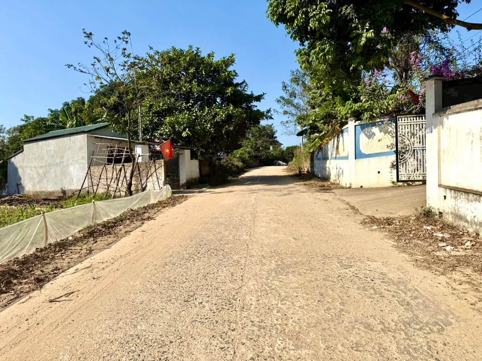 Đất nền Làng Mấu Tam Quan 91m² giá chỉ 800 triệu - Cơ hội đầu tư tuyệt vời!