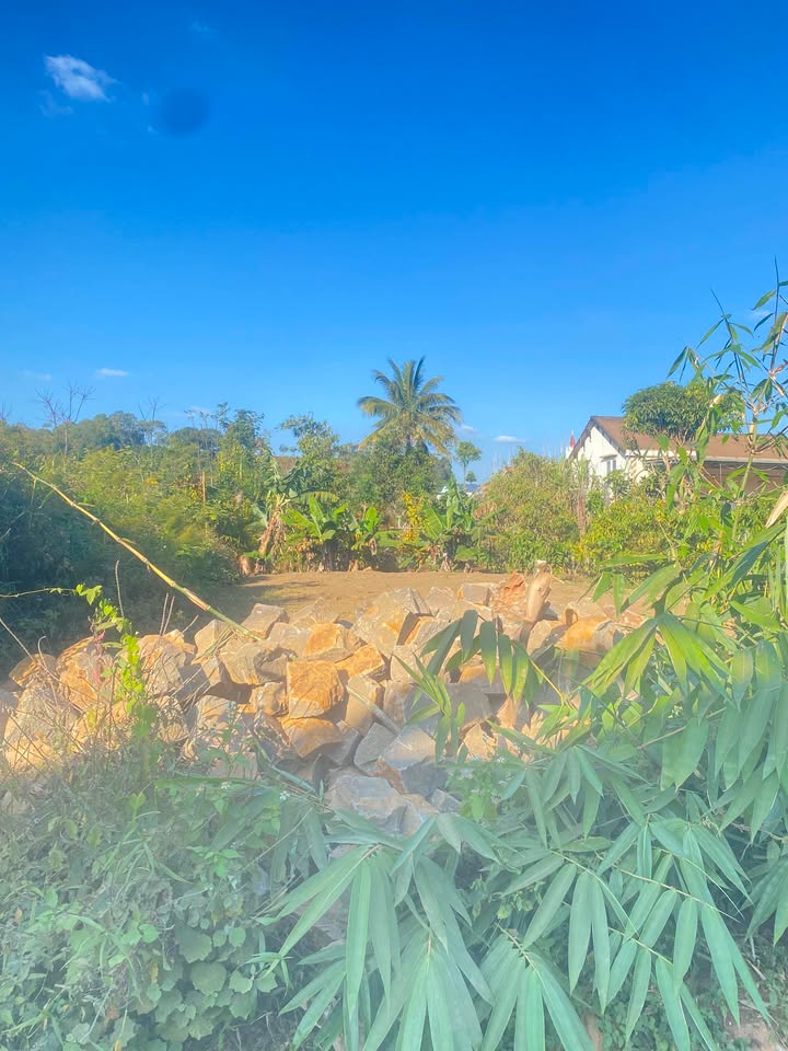 Đất nền Xã Đắk Sắk, Huyện Đắk Mil 250m² giá 1.05 tỷ - Sổ đỏ chính chủ