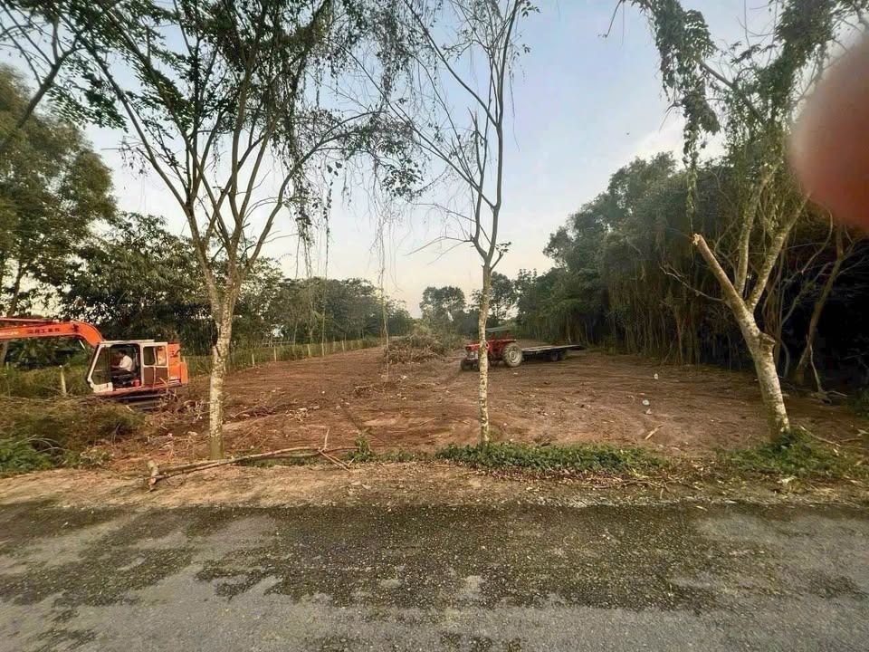 Đất mặt tiền đường nhựa DT 1523m² xã Hòa Phú, Củ Chi - Giá tốt 10.5 tỷ!