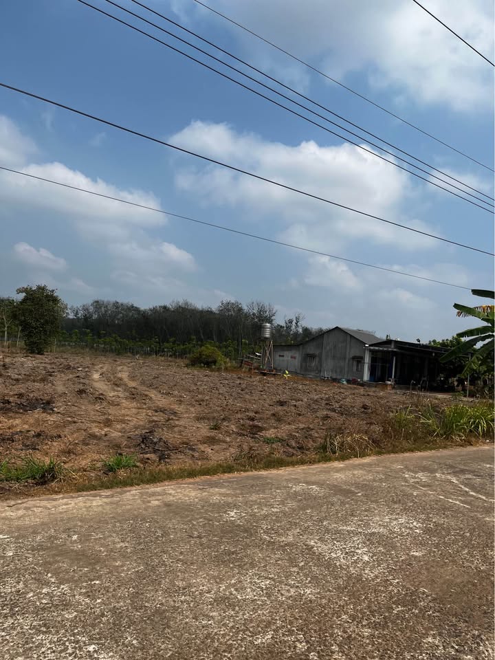 Đất nền 1100m² An Linh, Phú Giáo giá 850 triệu - Cơ hội đầu tư hấp dẫn!