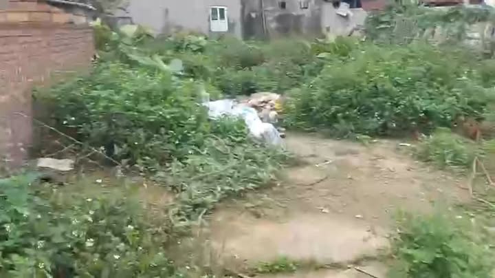 Đất nền Minh Đức Mỹ Hào 76,2m² giá chỉ 1x tỷ - Cơ hội đầu tư hiếm có!