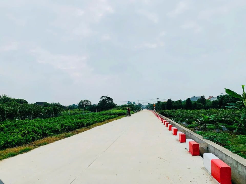 Đất 56m² mặt tiền 4.95m tại Ấp Bá Khê, Văn Giang chỉ 2 tỷ - Cơ hội đầu tư hấp dẫn!