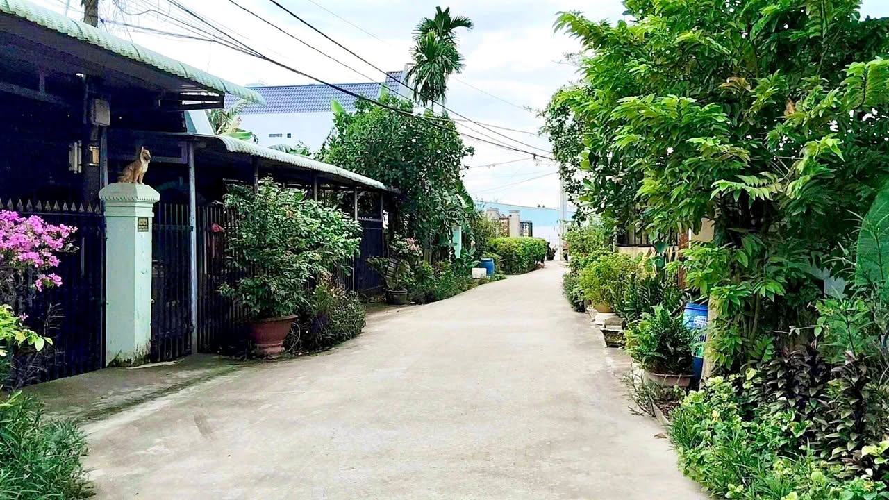 Đất thổ cư 123m² tại Bình Mỹ, Củ Chi chỉ 2.15 tỷ - Vị trí thuận lợi, dân cư đông đúc!