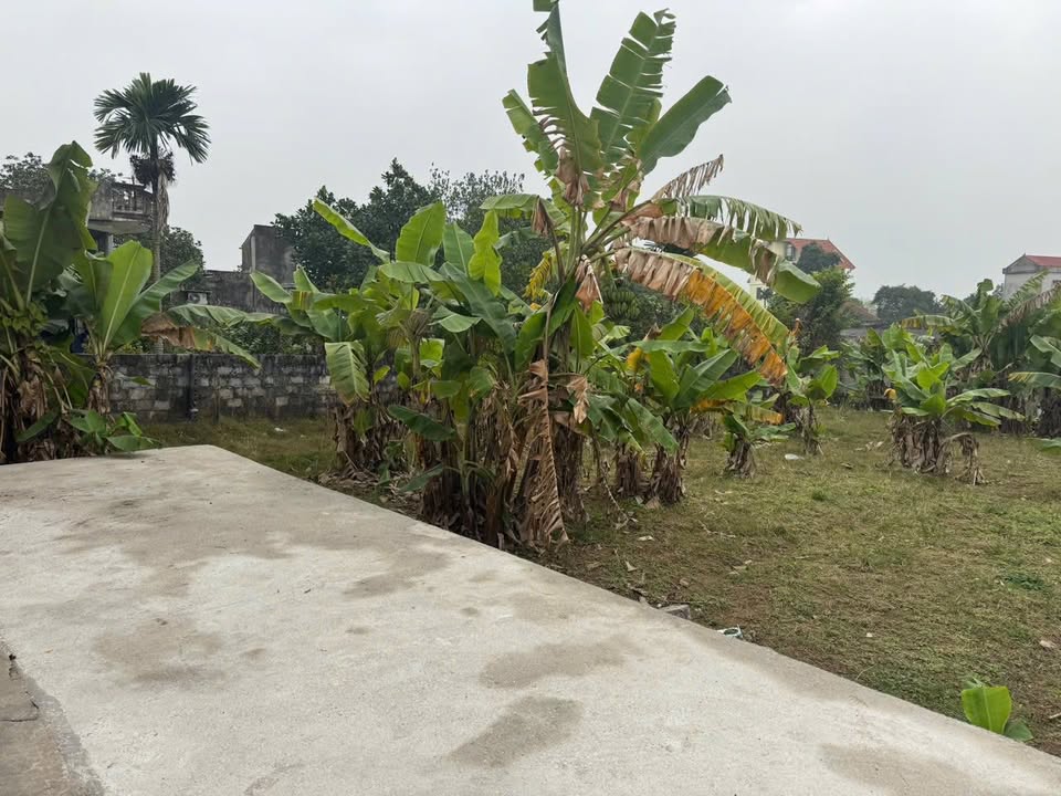 Đất nền Phường Phù Vân 100m² giá 1.286 tỷ - Ngõ ô tô, sẵn sàng giao dịch!