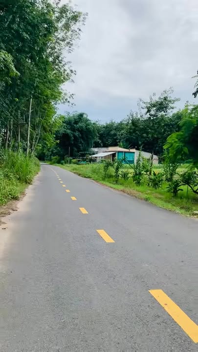 Đất nền Long Nguyên 800m² giá 1.3 tỷ - Sổ đỏ chính chủ