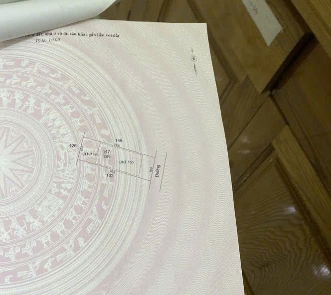 Đất nền Xóm 7, Hải Đường, Hải Hậu 299m² giá thỏa thuận - Đường ô tô vào tận nơi!