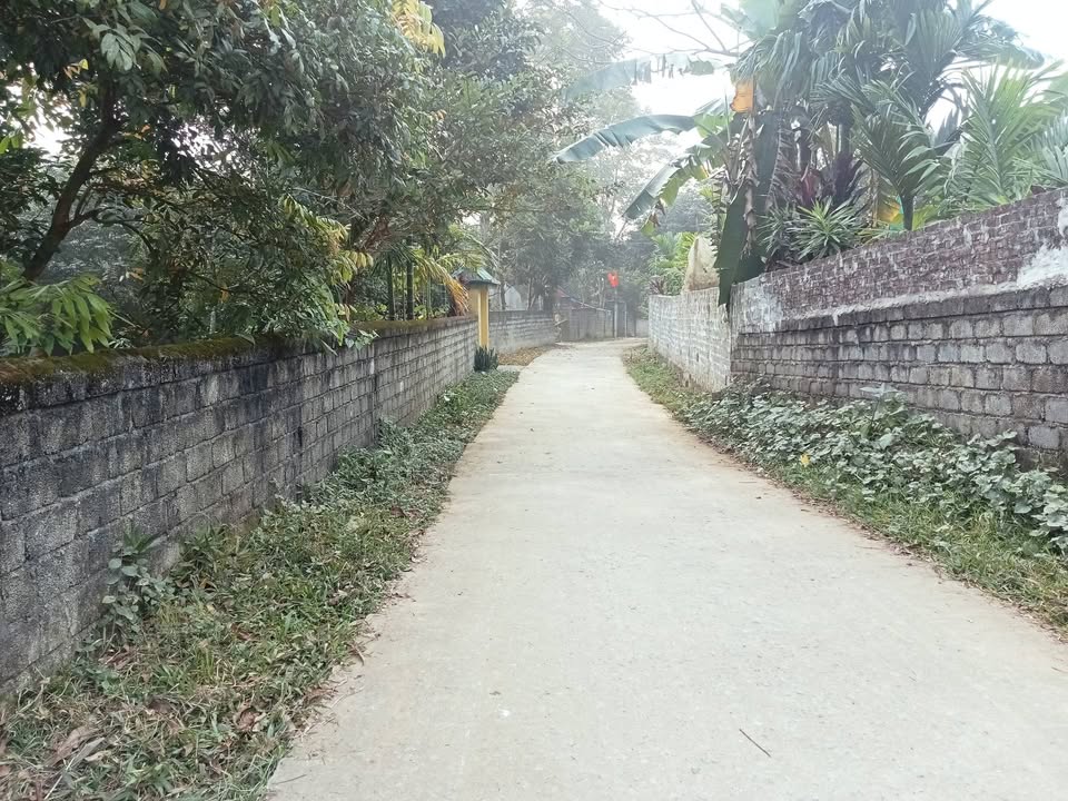 Đất thổ cư 200m² tại Cao Sơn, Lương Sơn - Chính chủ bán gấp!