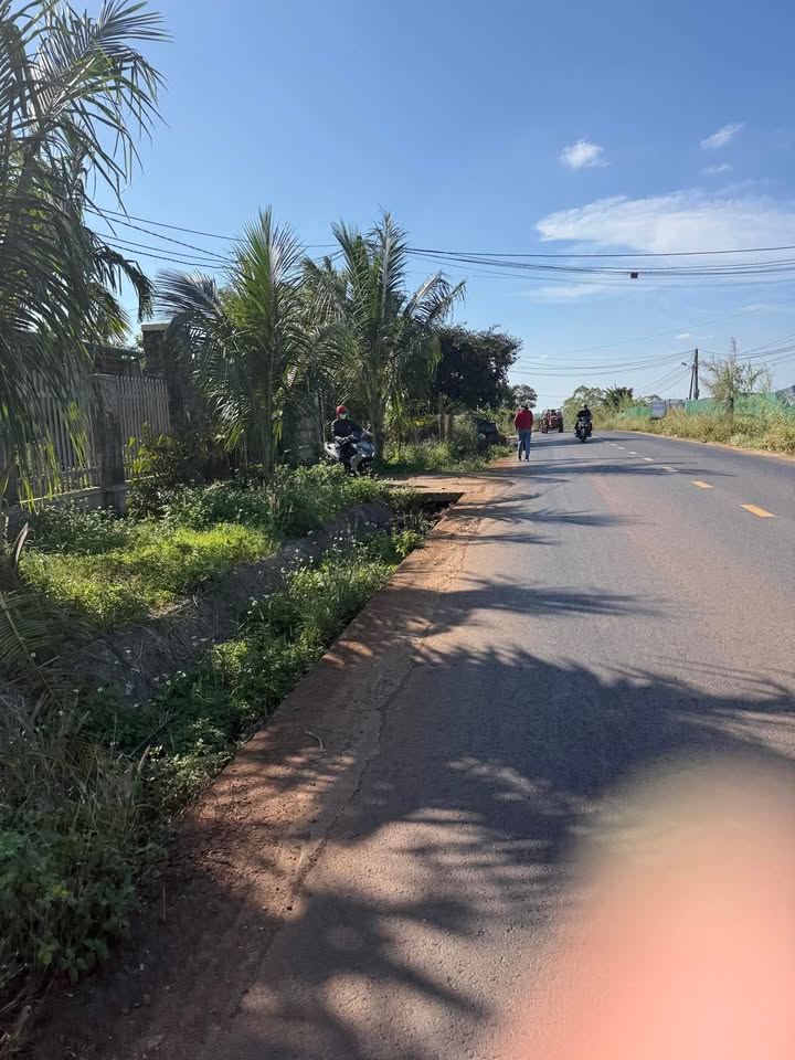 Đất nền Ea Ngai, Krông Búk 560m² giá chỉ 3xx triệu - Cơ hội đầu tư tuyệt vời!