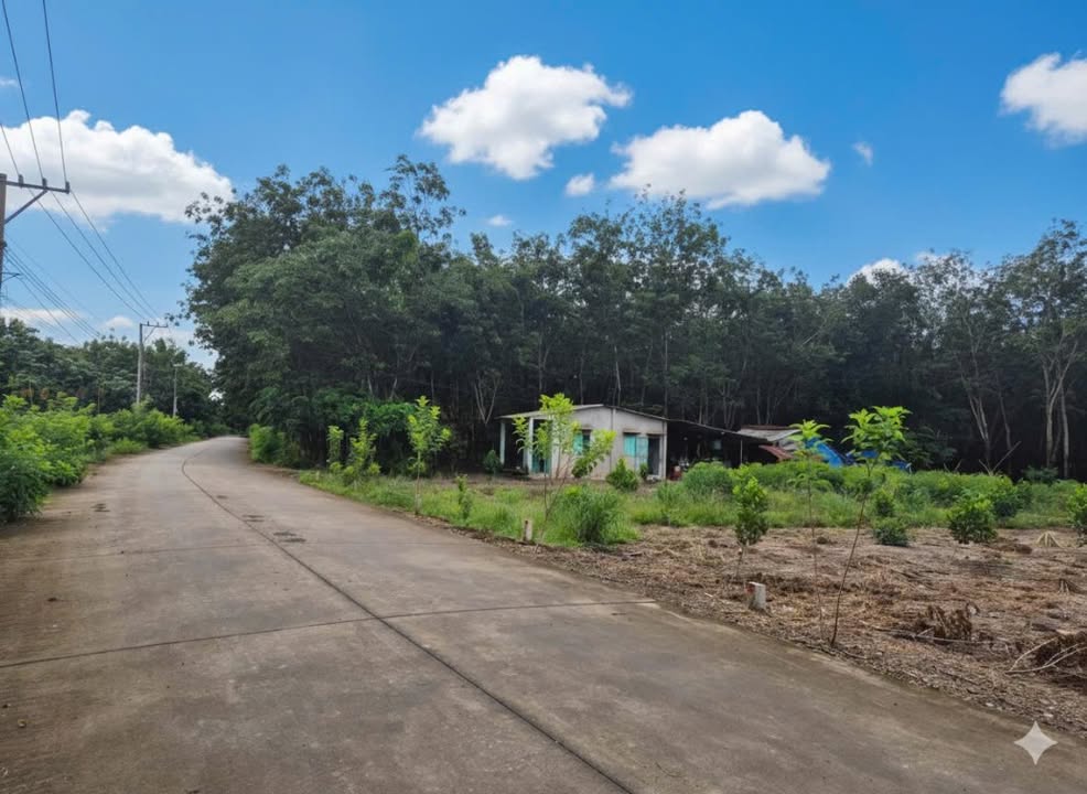 Đất nền 338m² xã Tân Hiệp, Phú Giáo giá 520 triệu - Cơ hội đầu tư tốt!