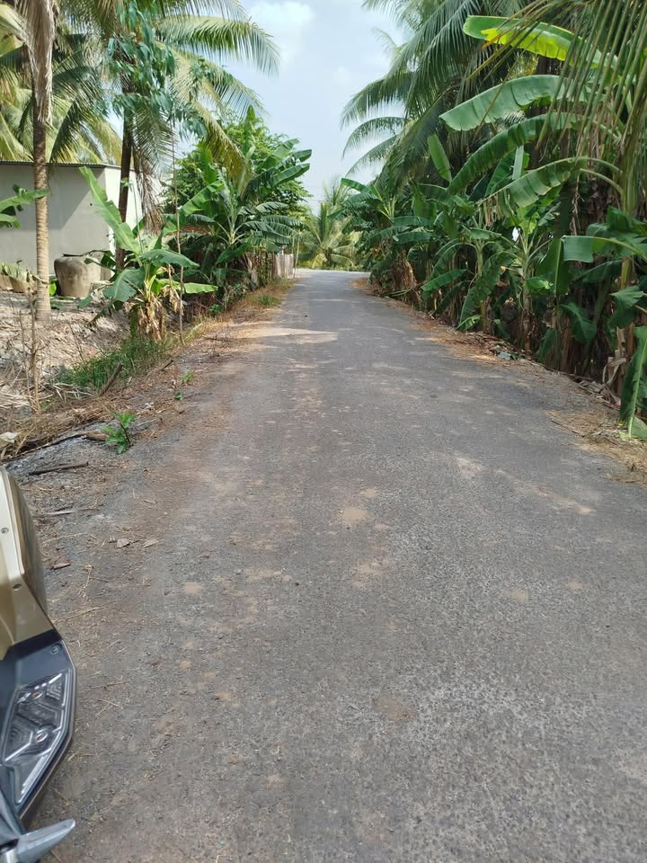 Đất nền mặt tiền đường Huyện 3, xã Bình Phú, 150m² giá 440 triệu - Cơ hội đầu tư sinh lời!