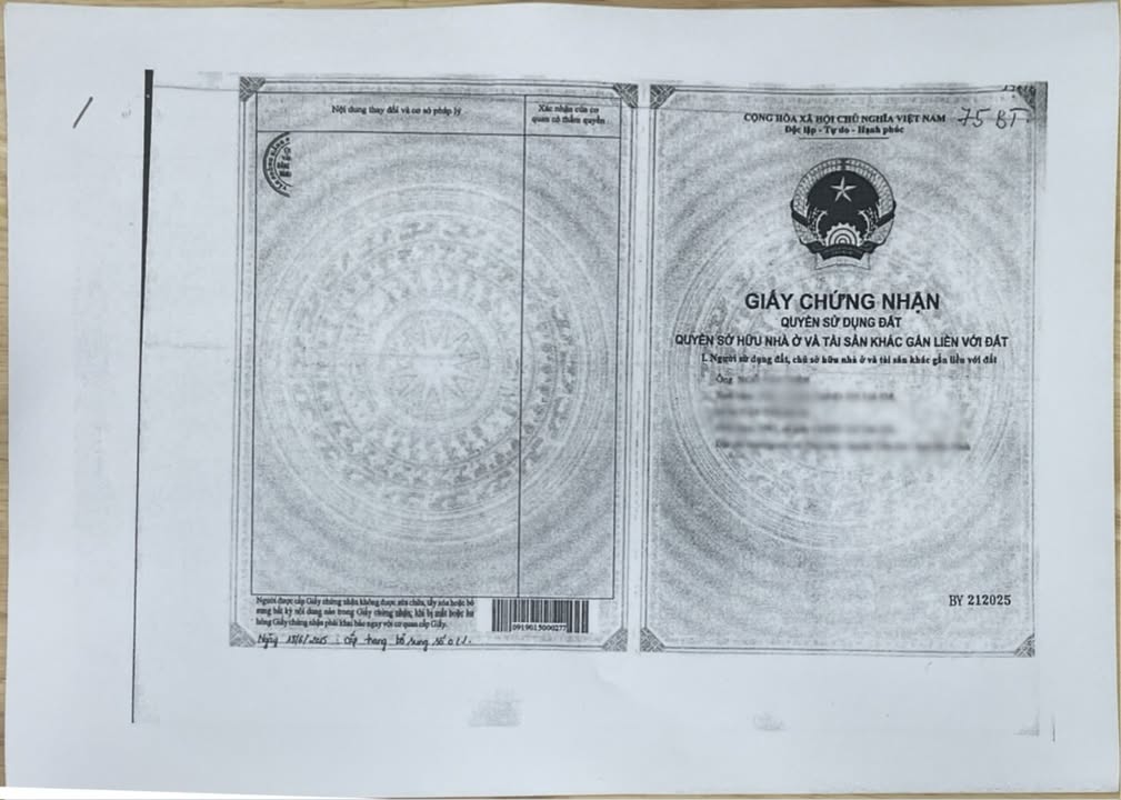 Biệt thự cao cấp Phường Võ Cường 200m² - Đầu tư lý tưởng!