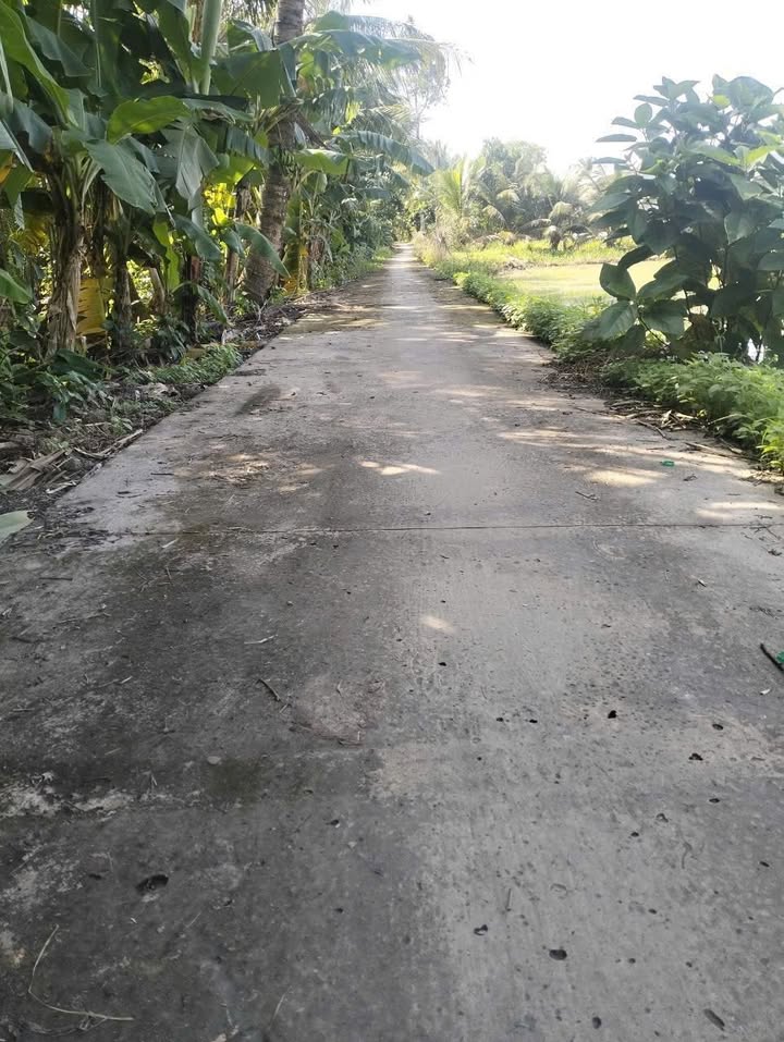 Đất nền Ấp 11, Xã Vĩnh Hòa, 1008m² giá 250 triệu - Đầu tư sinh lời ngay!